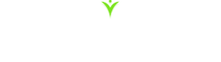 Meschino Health
